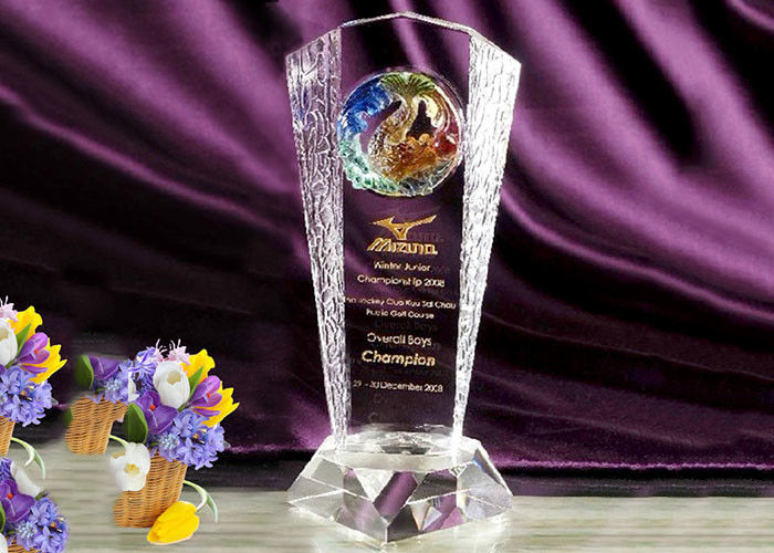 Renkli Sır Kartallı Üstün Özel Kristal Cam Kupa Ödülleri